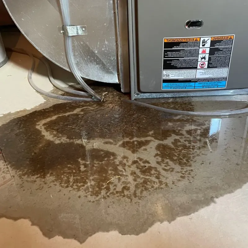 Pipe Burst and Leak Restoration in Danville, PA